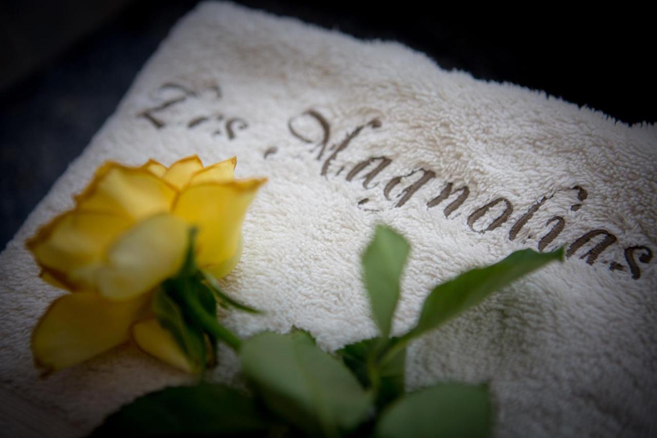 Les Magnolias Holiday Homes Lalinde Екстер'єр фото